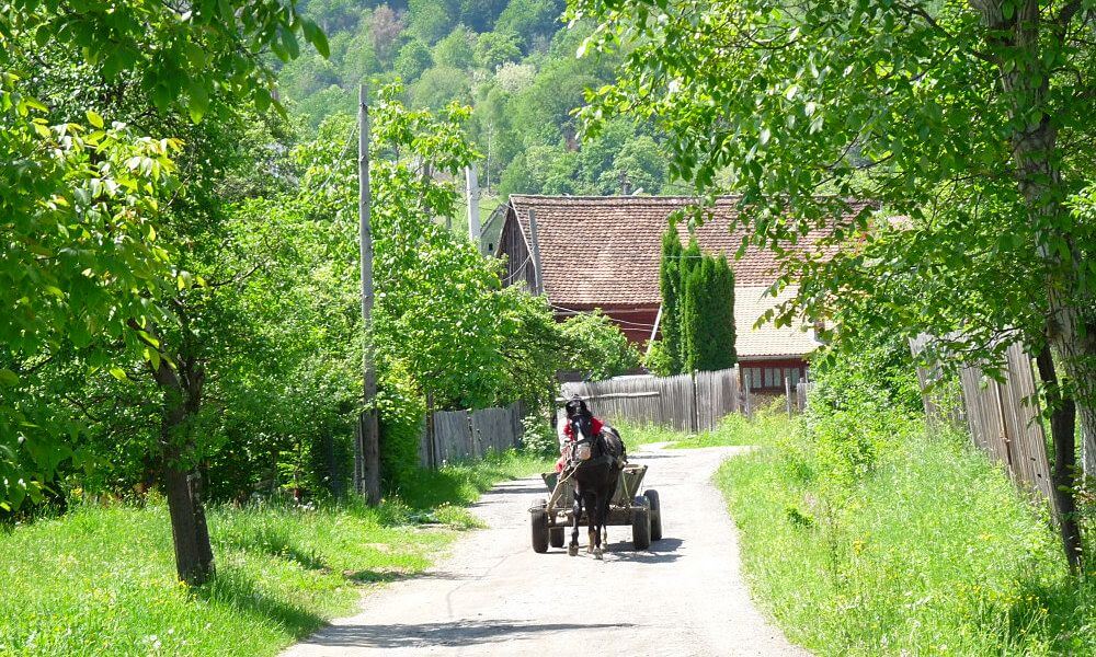 turismo Transilvania