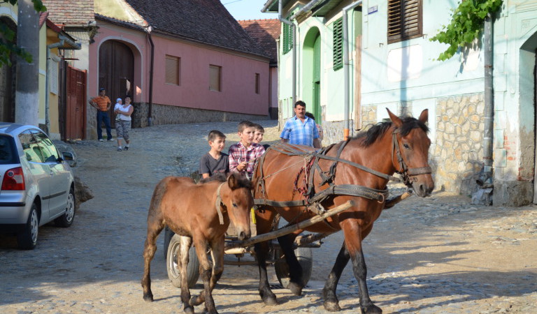 el pueblo Rasinari Transilvania