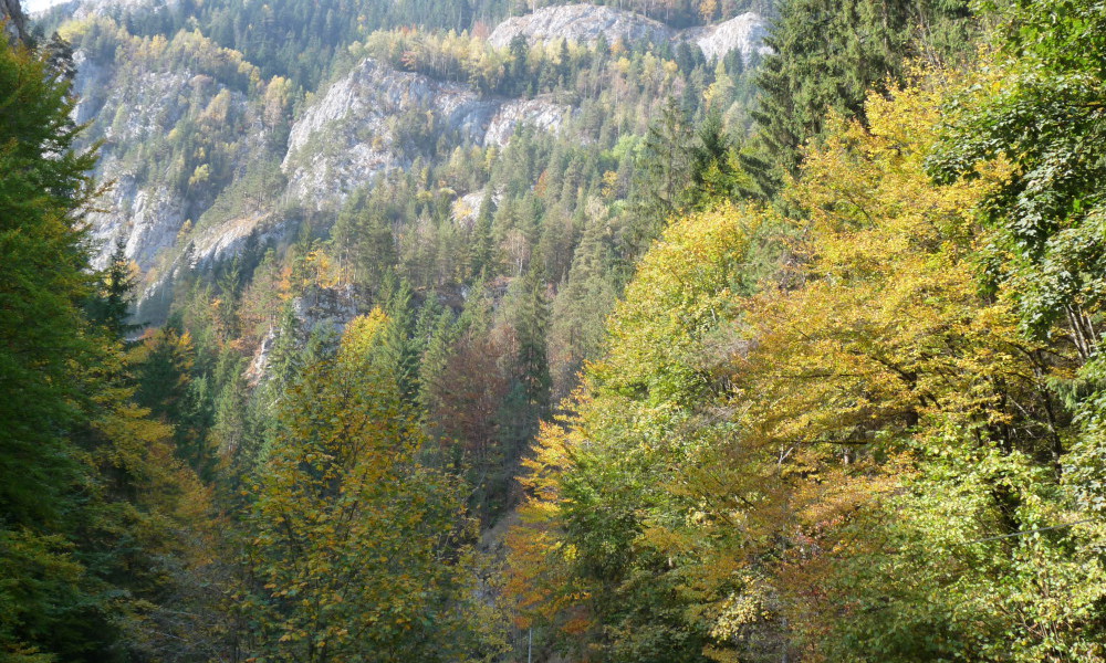 Las Gargantas de Bicaz